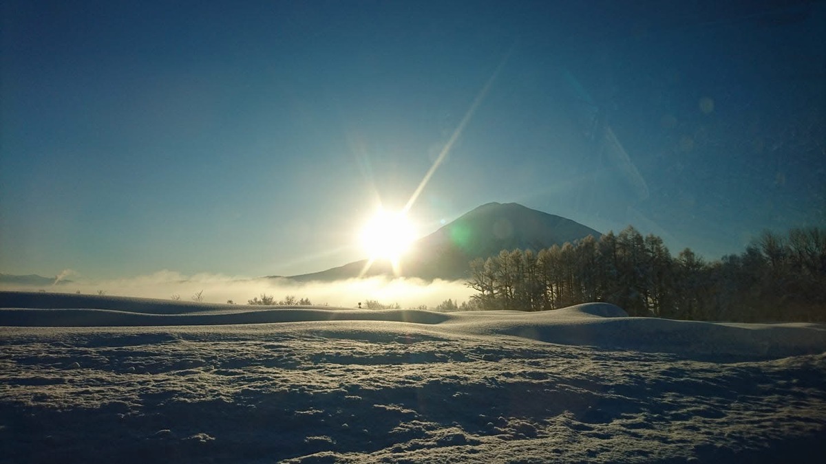 お知らせの画像